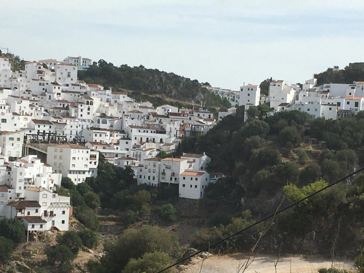 Casares Vacations Lejlighed Eksteriør billede