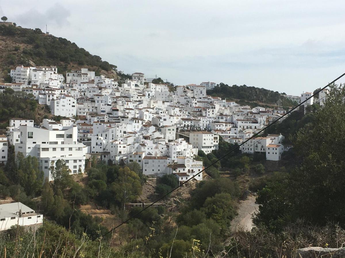 Casares Vacations Lejlighed Eksteriør billede